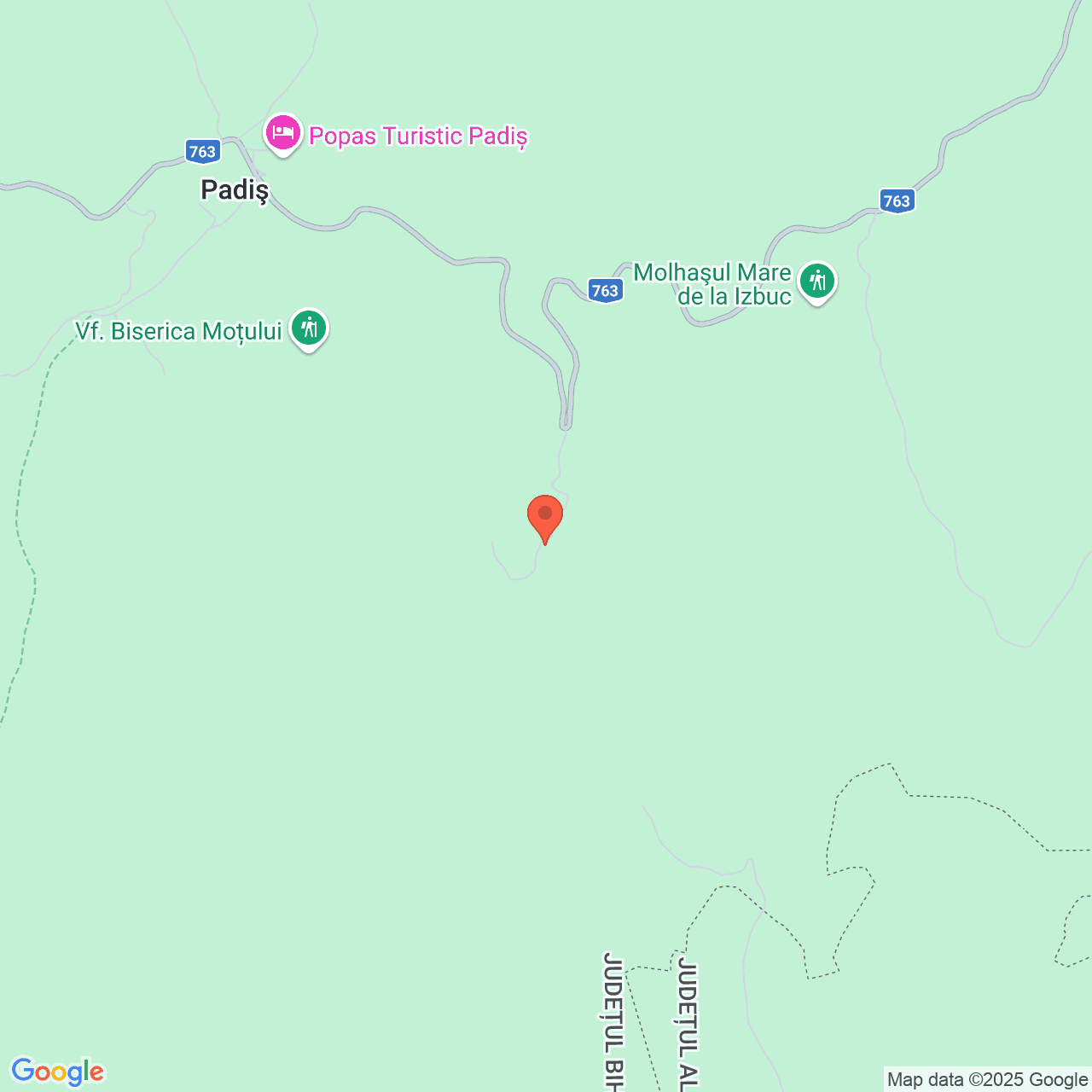 Poza harta streetview, zoom 14, adresa Budureasa Bihor, , judetul