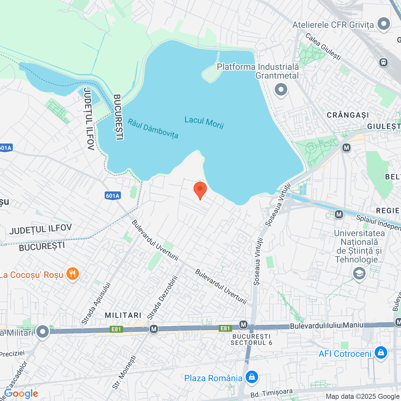 Poza harta streetview, zoom 14, adresa Bucuresti, str. Intrarea Cernisoara, nr. 9, , judetul