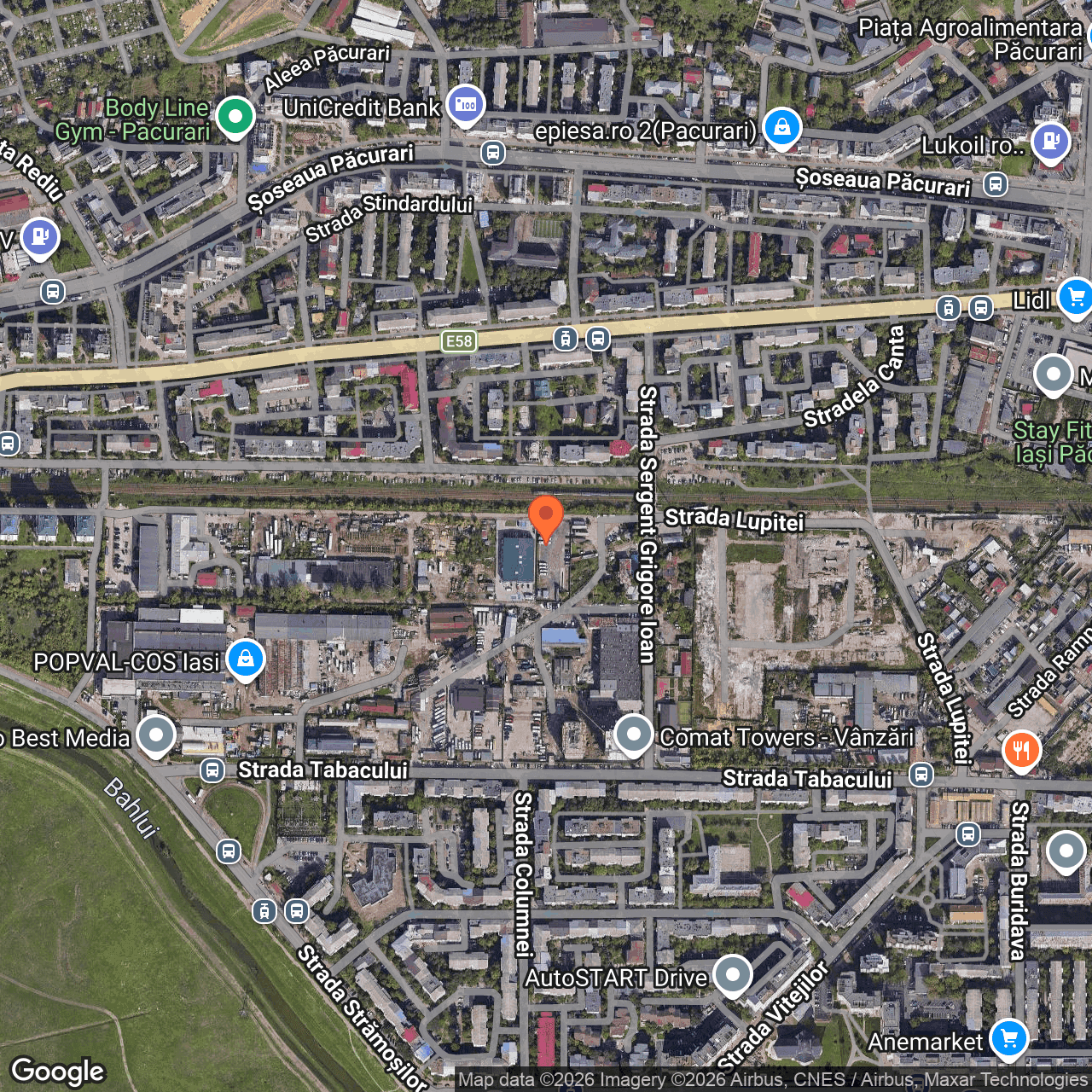 Poza harta hybrid, zoom 16, adresa Iași, str. Sergent Grigore Ioan, nr. 7, , judetul