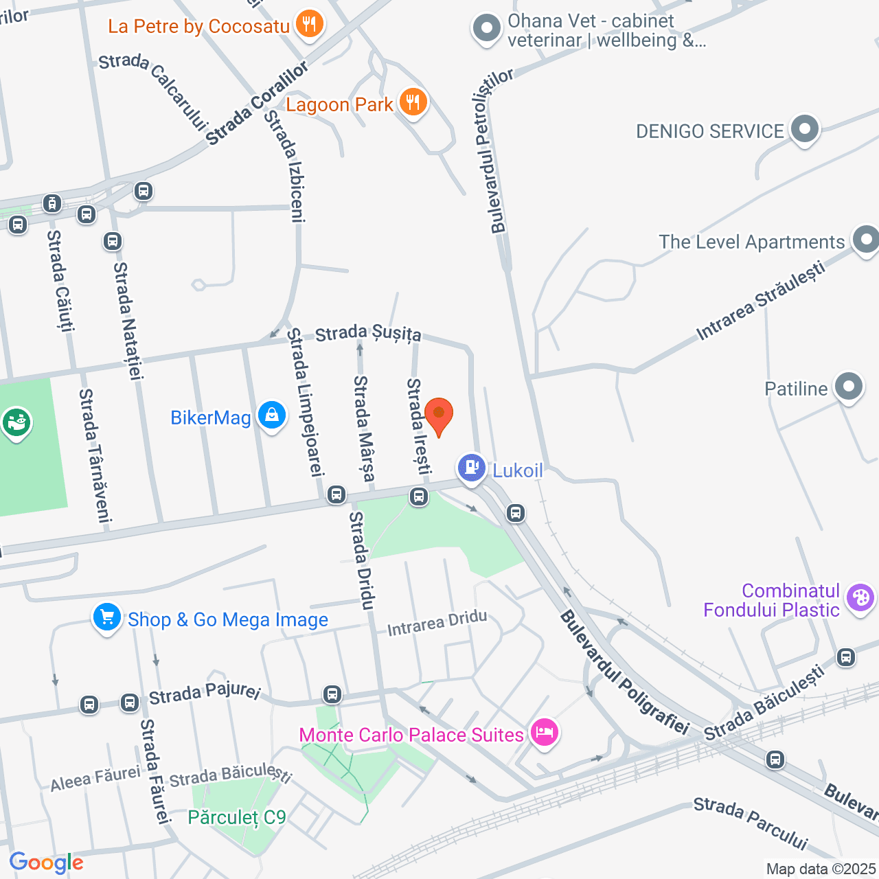 Poza harta streetview, zoom 16, adresa Bucuresti, str. Iresti nr.15, sector 1, , judetul