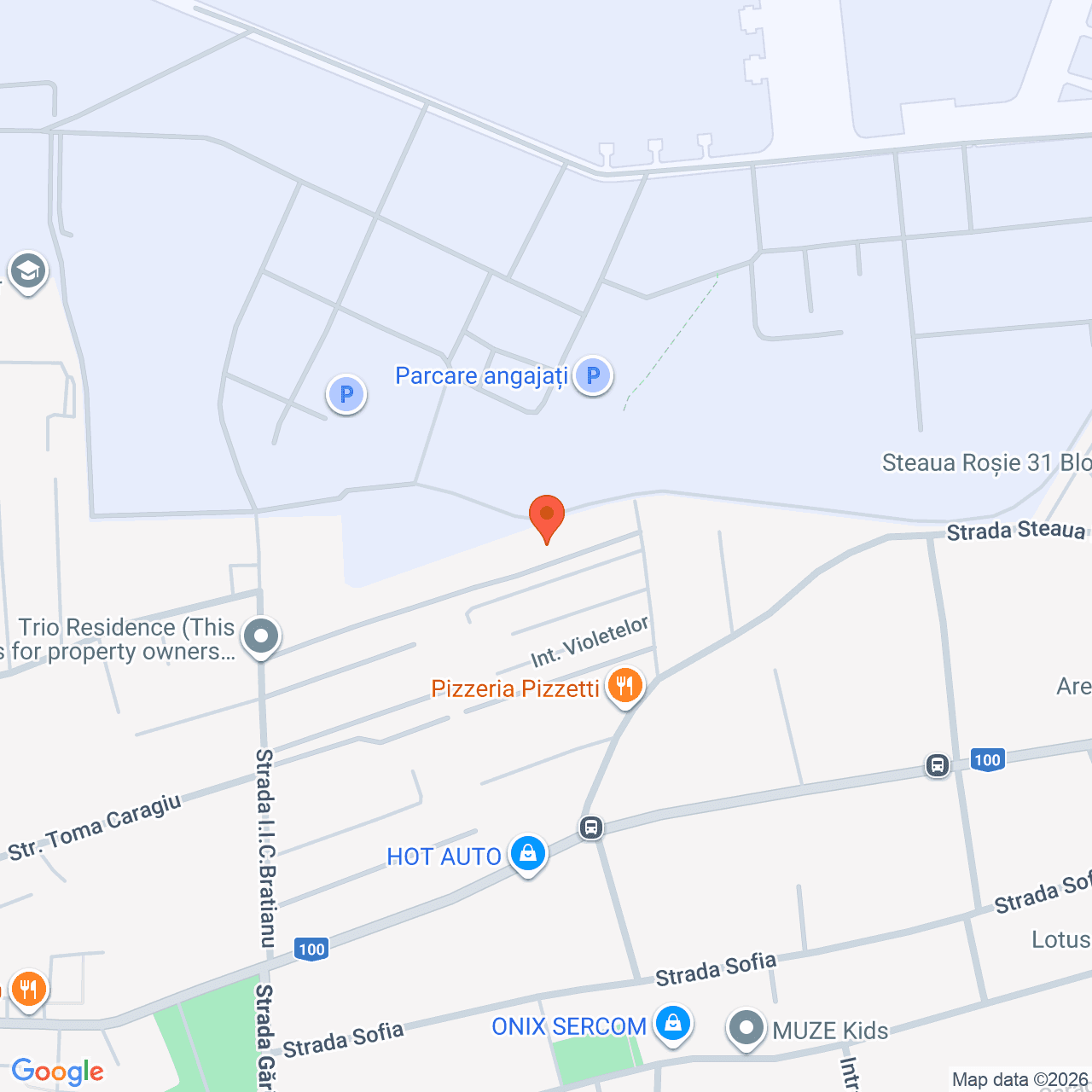 Poza harta streetview, zoom 16, adresa Otopeni Ilfov, , judetul