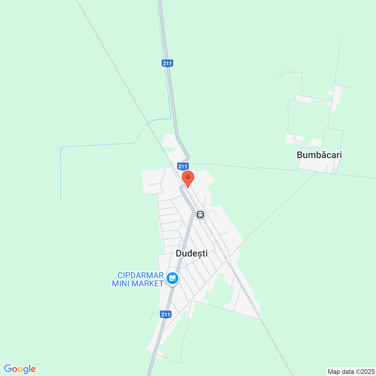 Poza harta streetview, zoom 14, adresa Dudesti Braila, , judetul