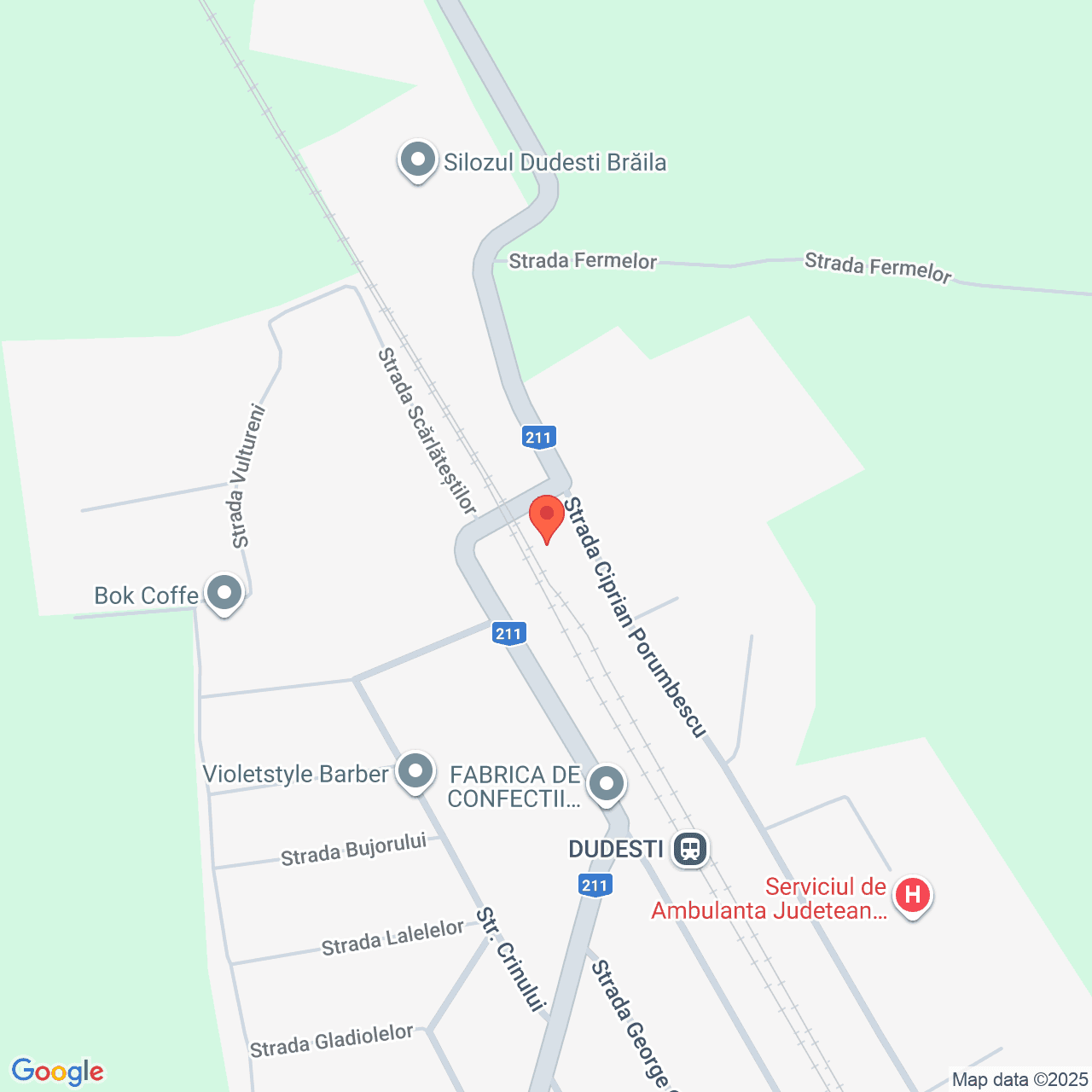 Poza harta streetview, zoom 16, adresa Dudesti Braila, , judetul