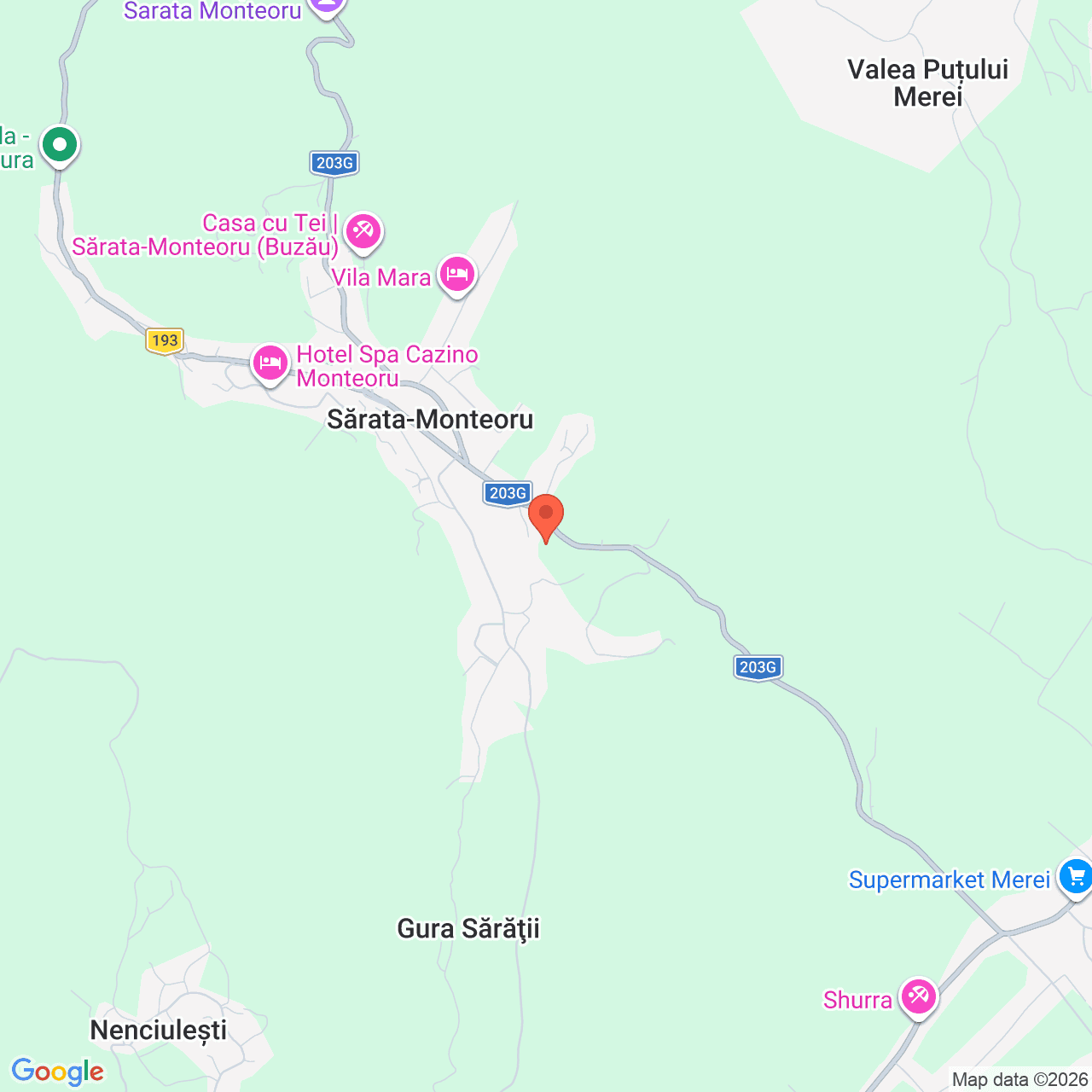Poza harta streetview, zoom 14, adresa Sarata Monteoru Merei Buzau, , judetul