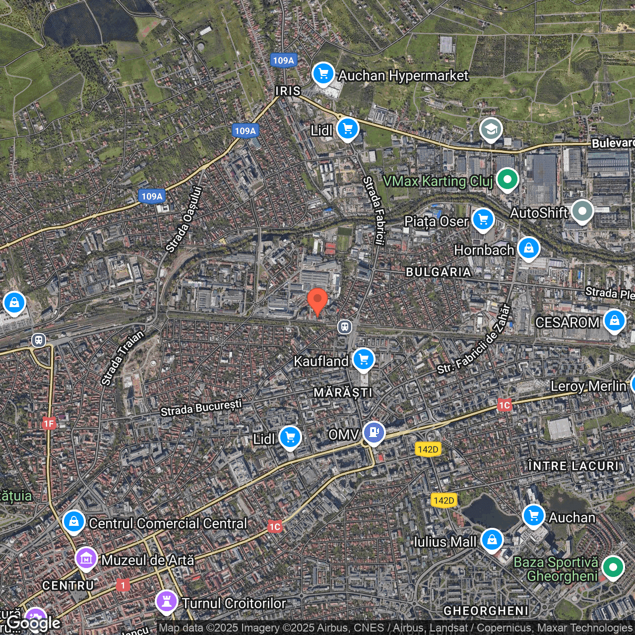 Poza harta hybrid, zoom 14, adresa str. Painii, nr.20, Cluj-Napoca, , judetul