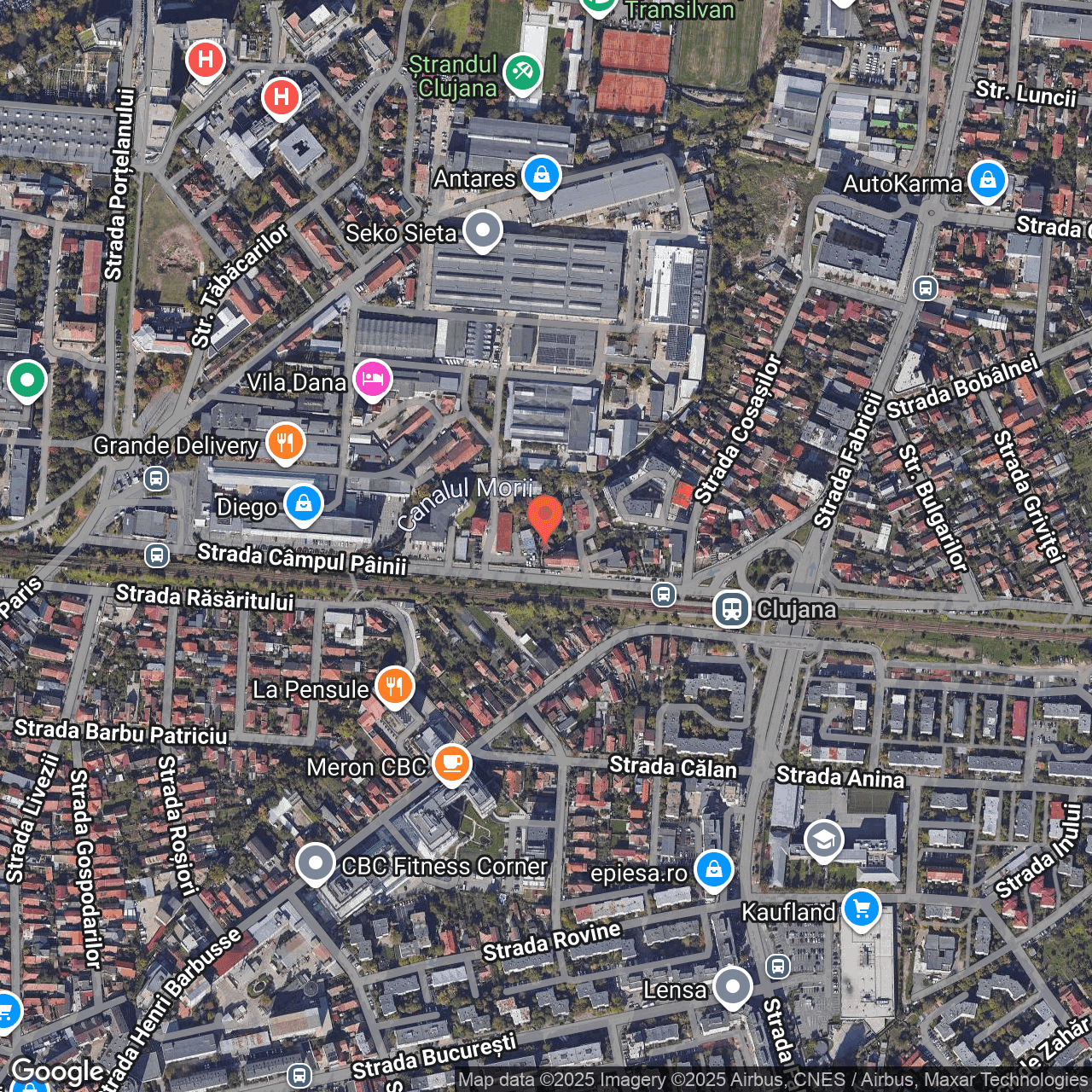 Poza harta hybrid, zoom 16, adresa str. Painii, nr.20, Cluj-Napoca, , judetul