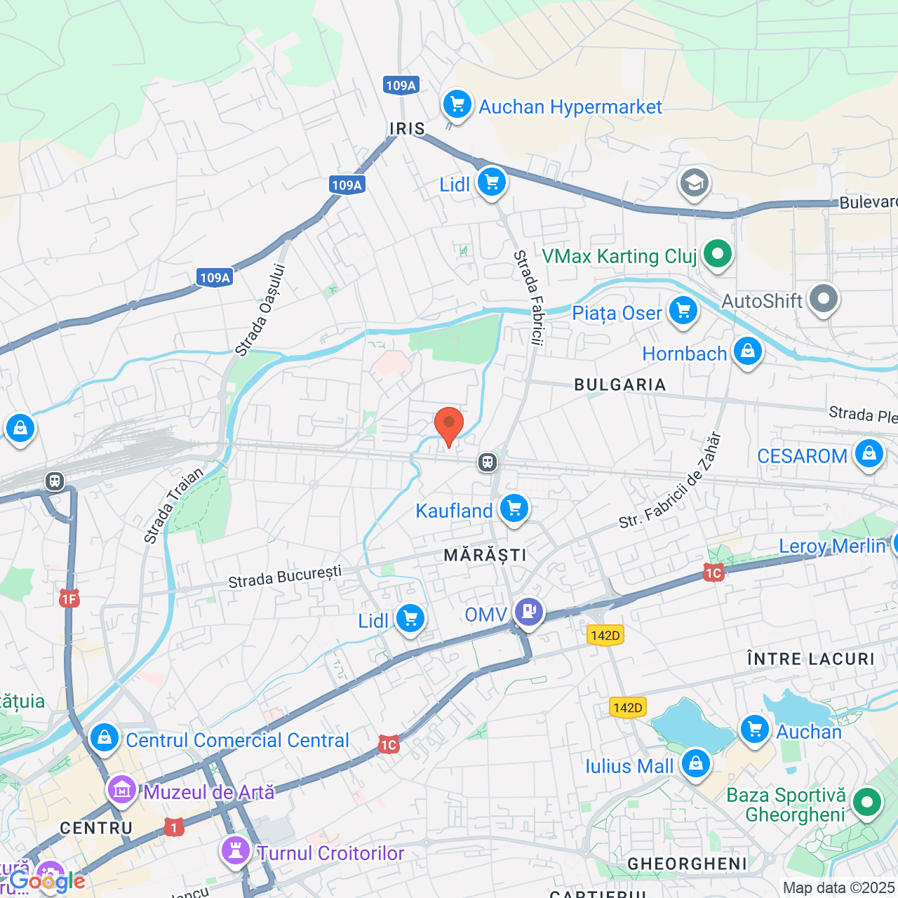 Poza harta streetview, zoom 14, adresa str. Painii, nr.20, Cluj-Napoca, , judetul