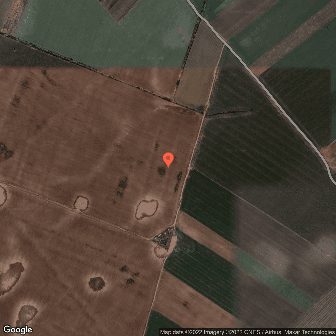 Poza harta hybrid, zoom 16, adresa Dascalu , Dascalu, judetul Bucuresti Ilfov