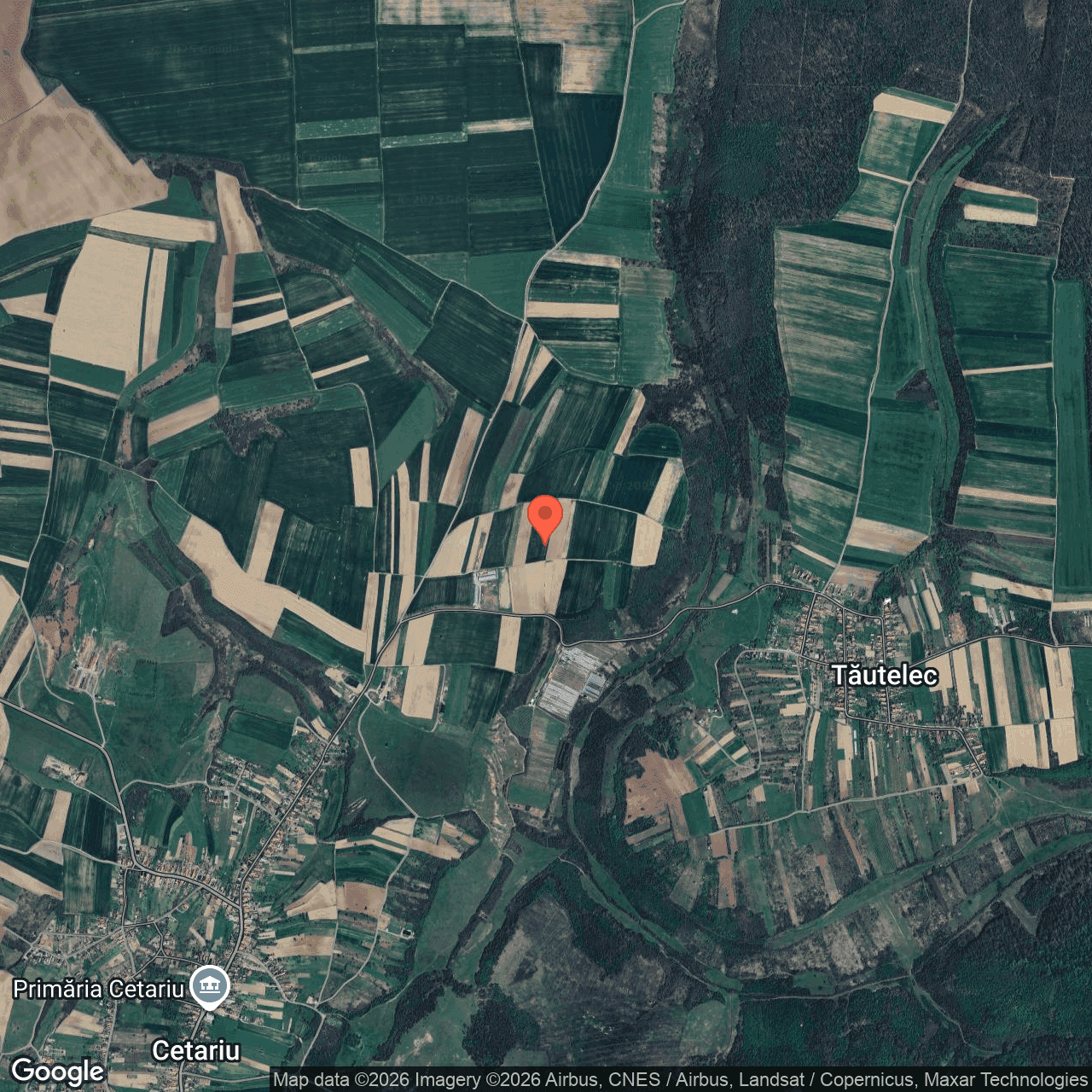 Poza harta hybrid, zoom 14, adresa Cetariu Bihor, , judetul