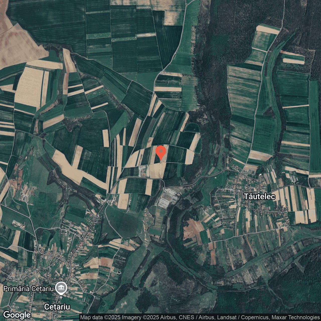 Poza harta hybrid, zoom 14, adresa Cetariu Bihor, , judetul