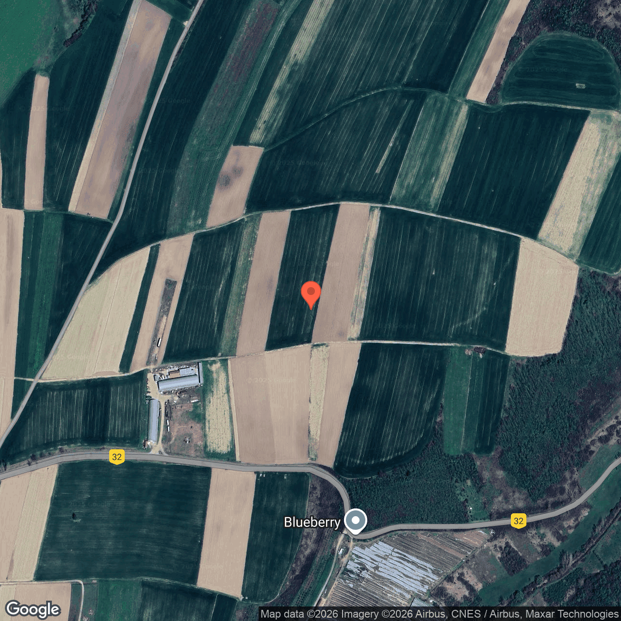 Poza harta hybrid, zoom 16, adresa Cetariu Bihor, , judetul