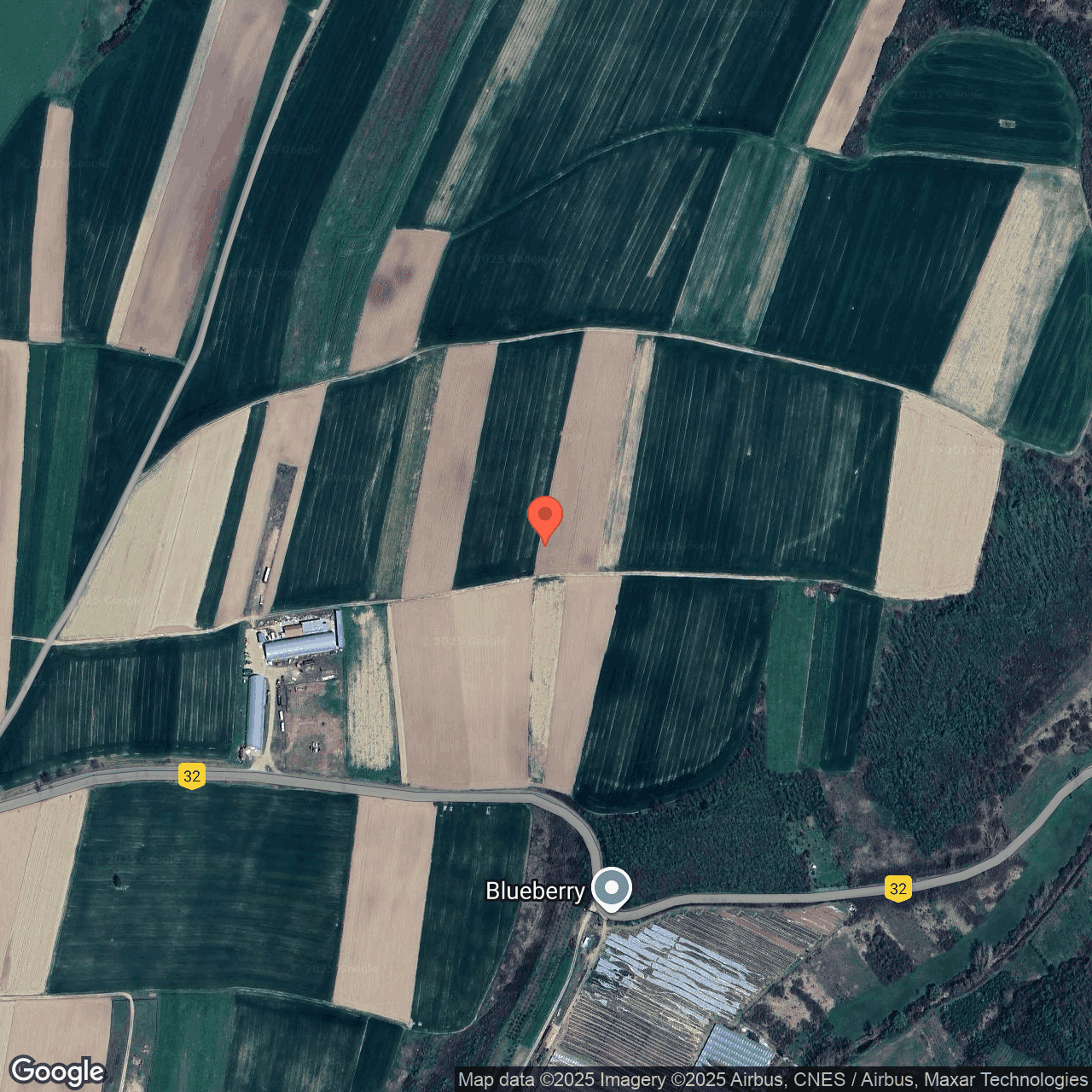 Poza harta hybrid, zoom 16, adresa Cetariu Bihor, , judetul