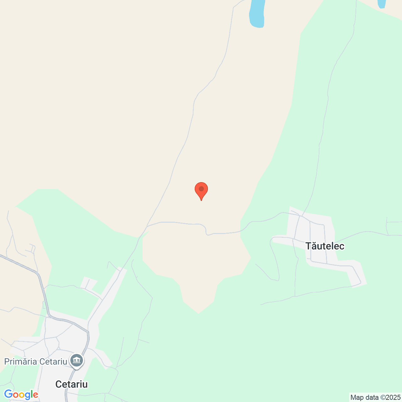 Poza harta streetview, zoom 14, adresa Cetariu Bihor, , judetul