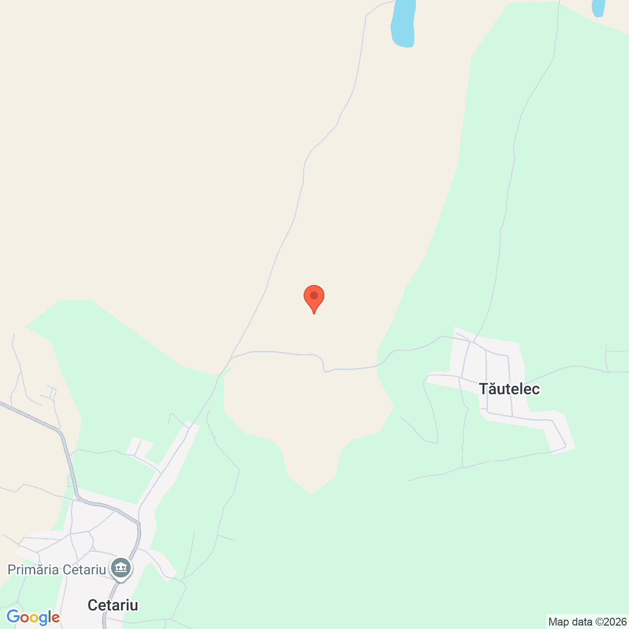 Poza harta streetview, zoom 14, adresa Cetariu Bihor, , judetul