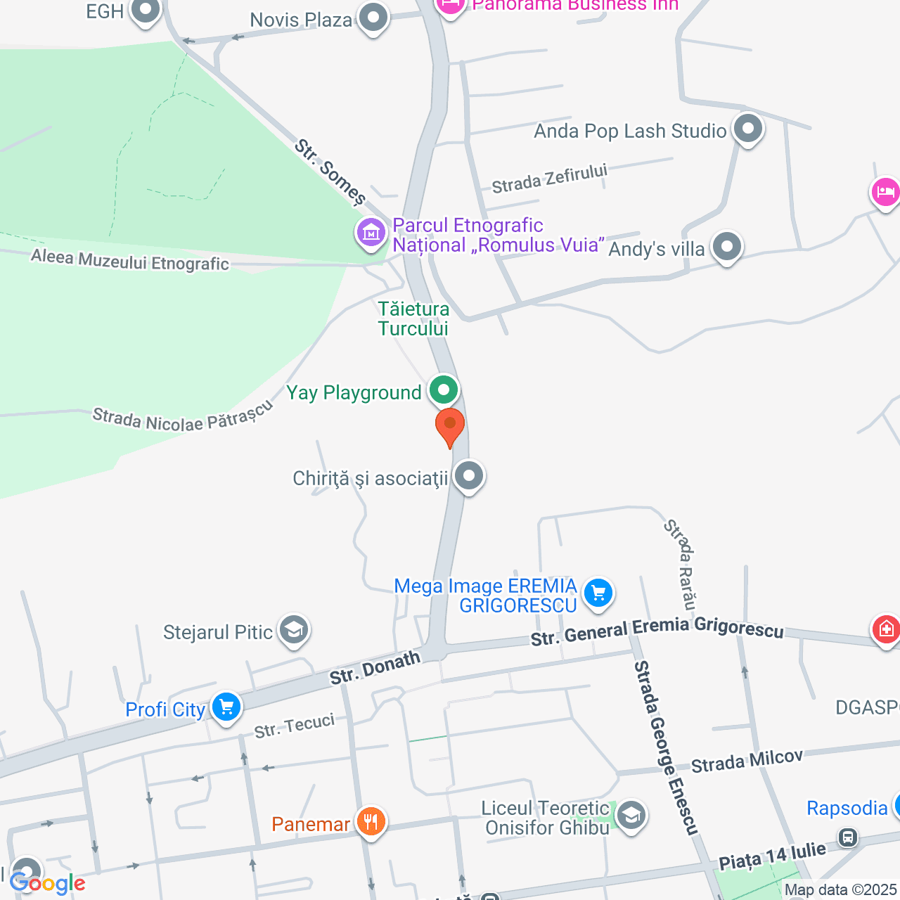 Poza harta streetview, zoom 16, adresa Strada Tăietura Turcului Cluj Napoca, , judetul