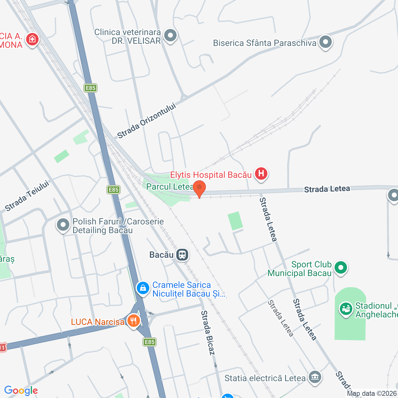 Poza harta streetview, zoom 16, adresa Strada Letea Bacau, , judetul