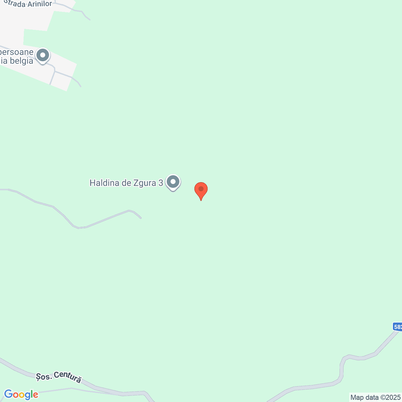 Poza harta streetview, zoom 16, adresa Țerova, Reșița, FN, Jud. Caraș-Severin, , judetul