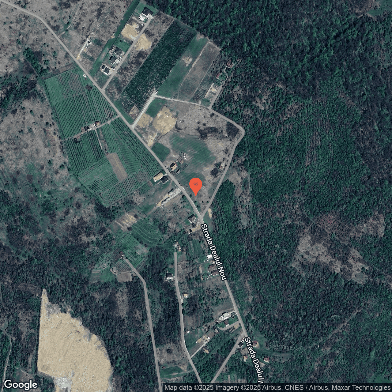 Poza harta hybrid, zoom 16, adresa Paleu Bhor, , judetul