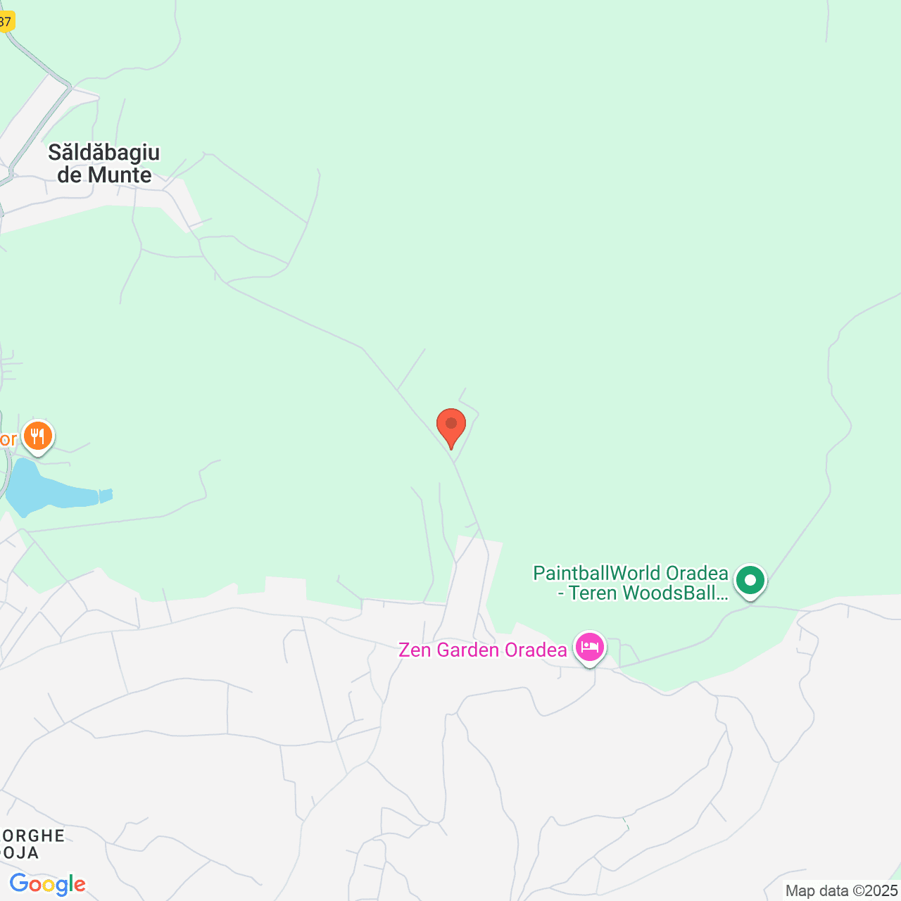 Poza harta streetview, zoom 14, adresa Paleu Bhor, , judetul