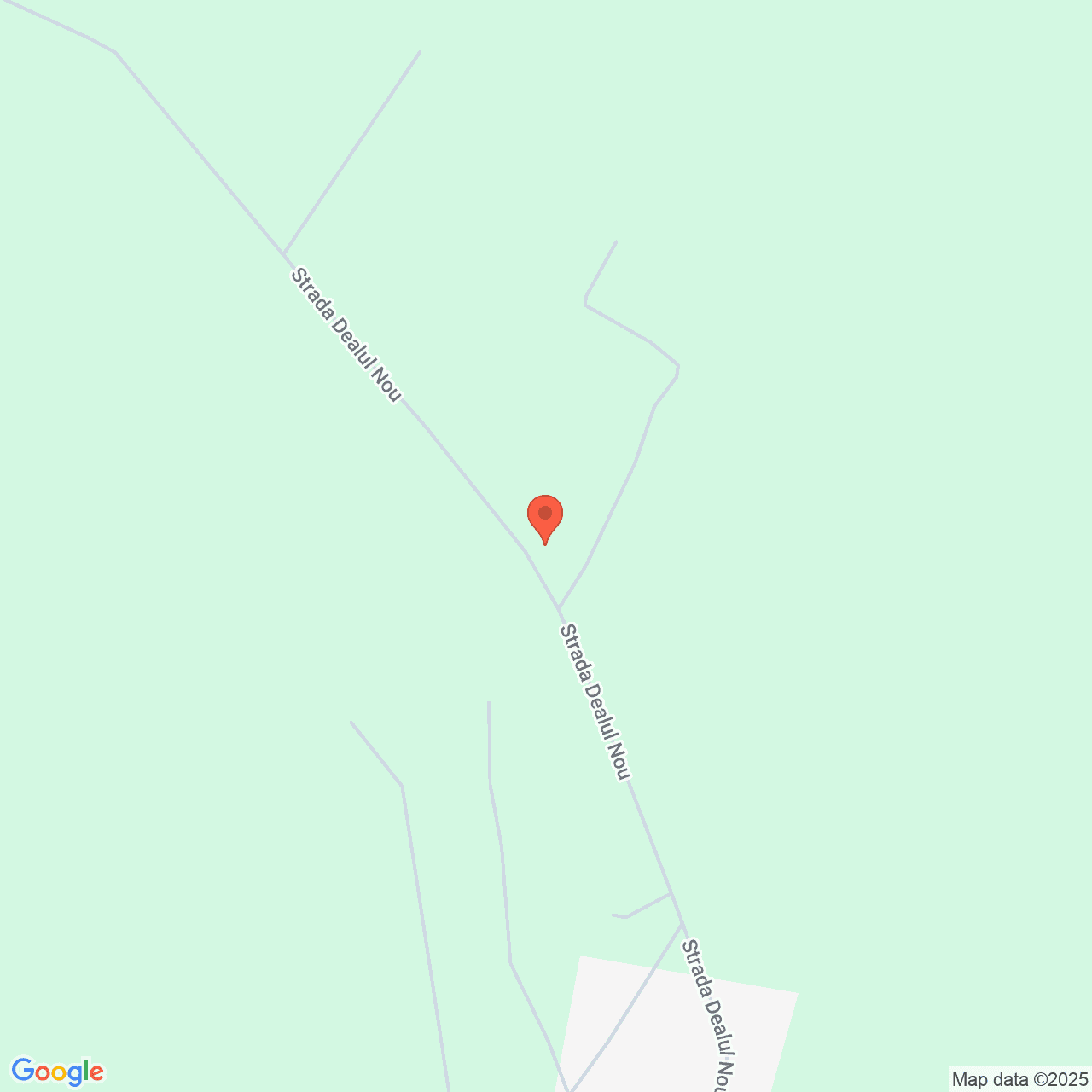 Poza harta streetview, zoom 16, adresa Paleu Bhor, , judetul