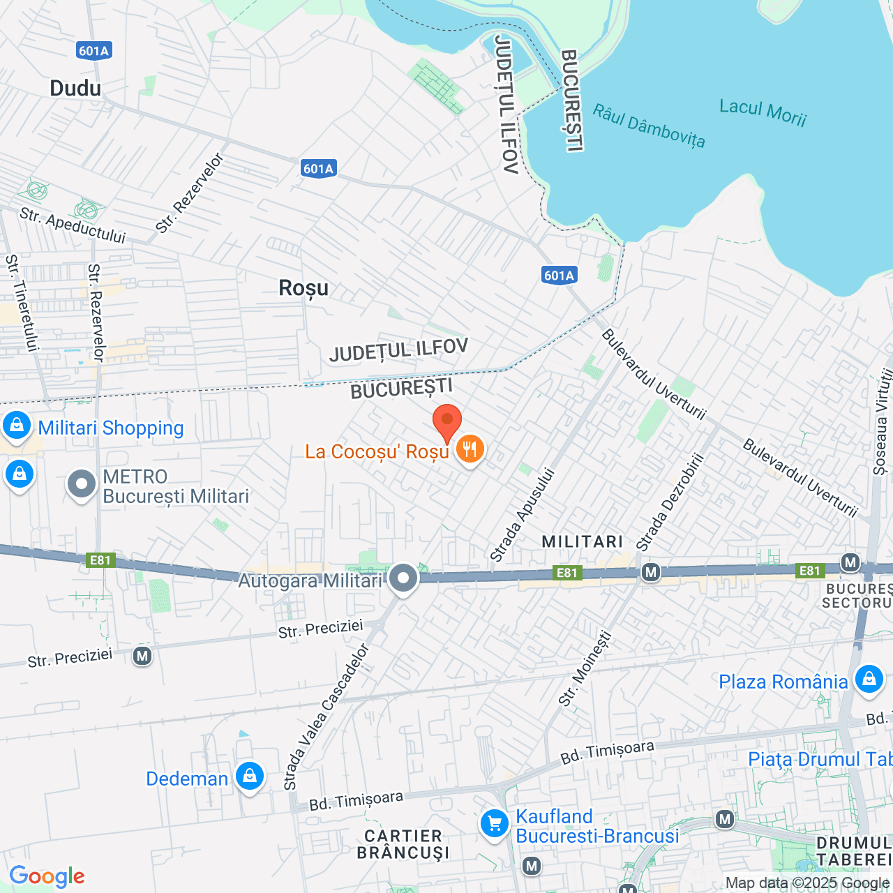 Poza harta streetview, zoom 14, adresa B-dul Anul 1864, nr. 65,sector 6, , judetul