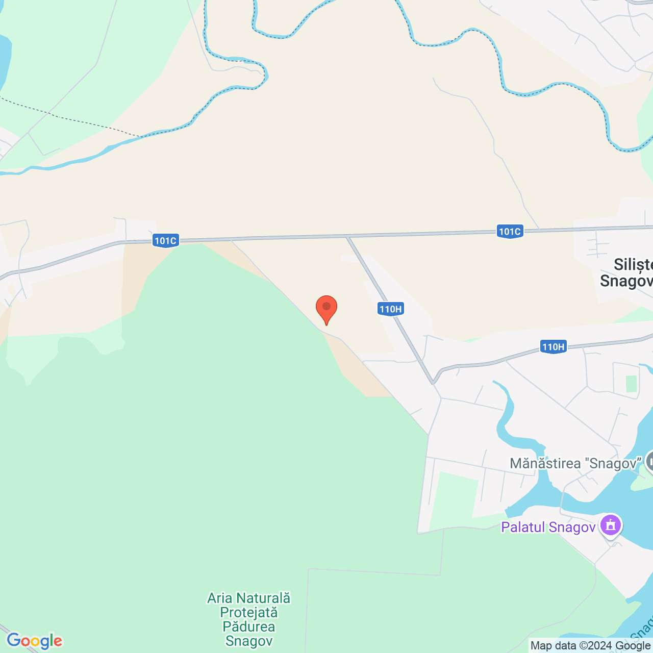 Poza harta streetview, zoom 14, adresa Gruiu Silistea Snagovului, , judetul