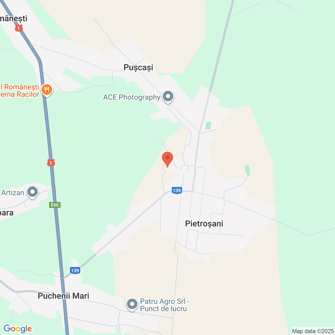 Poza harta streetview, zoom 14, adresa Puchenii Mari Prahova, , judetul