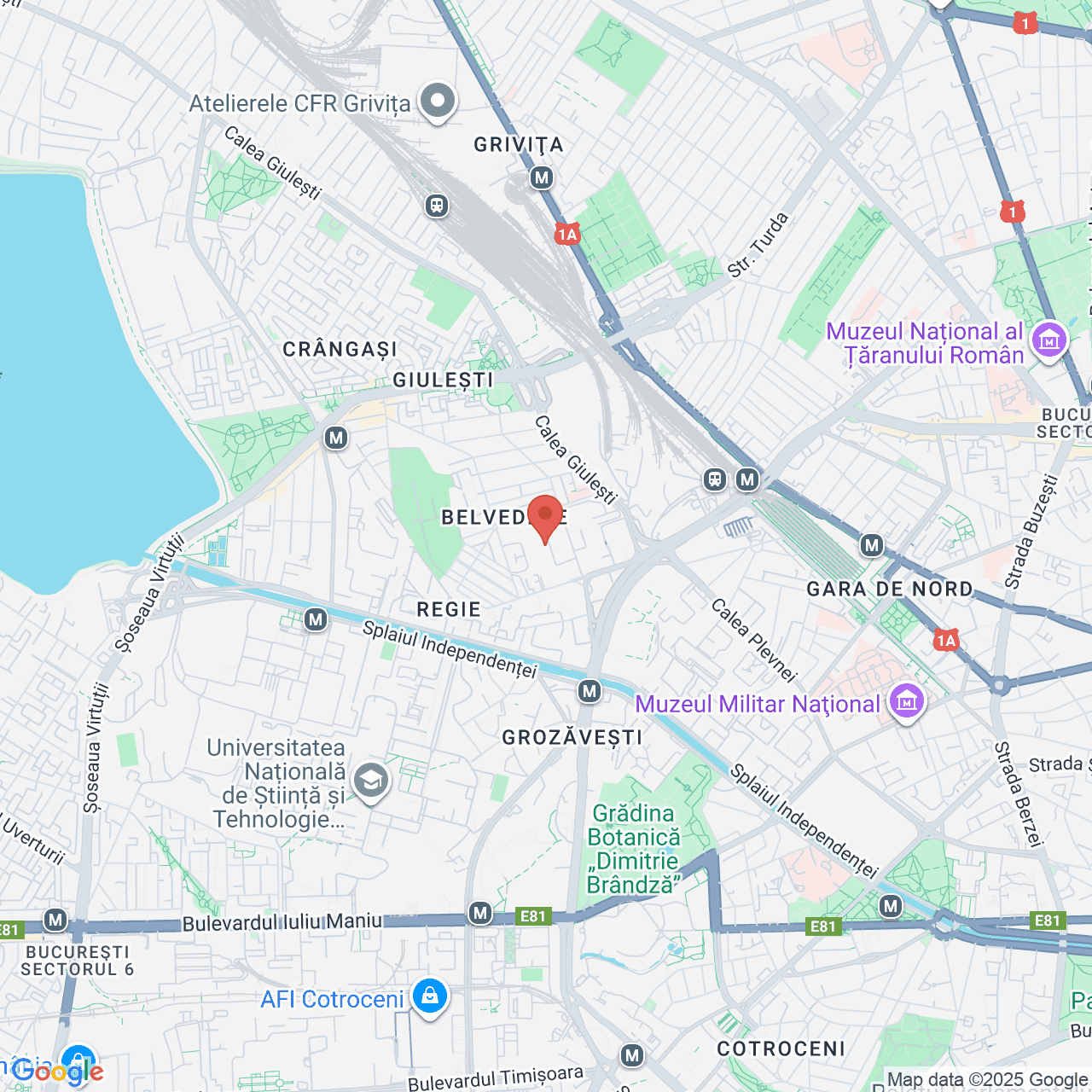 Poza harta streetview, zoom 14, adresa Bd Regiei nr 2, sector 6, Bucuresti, , judetul