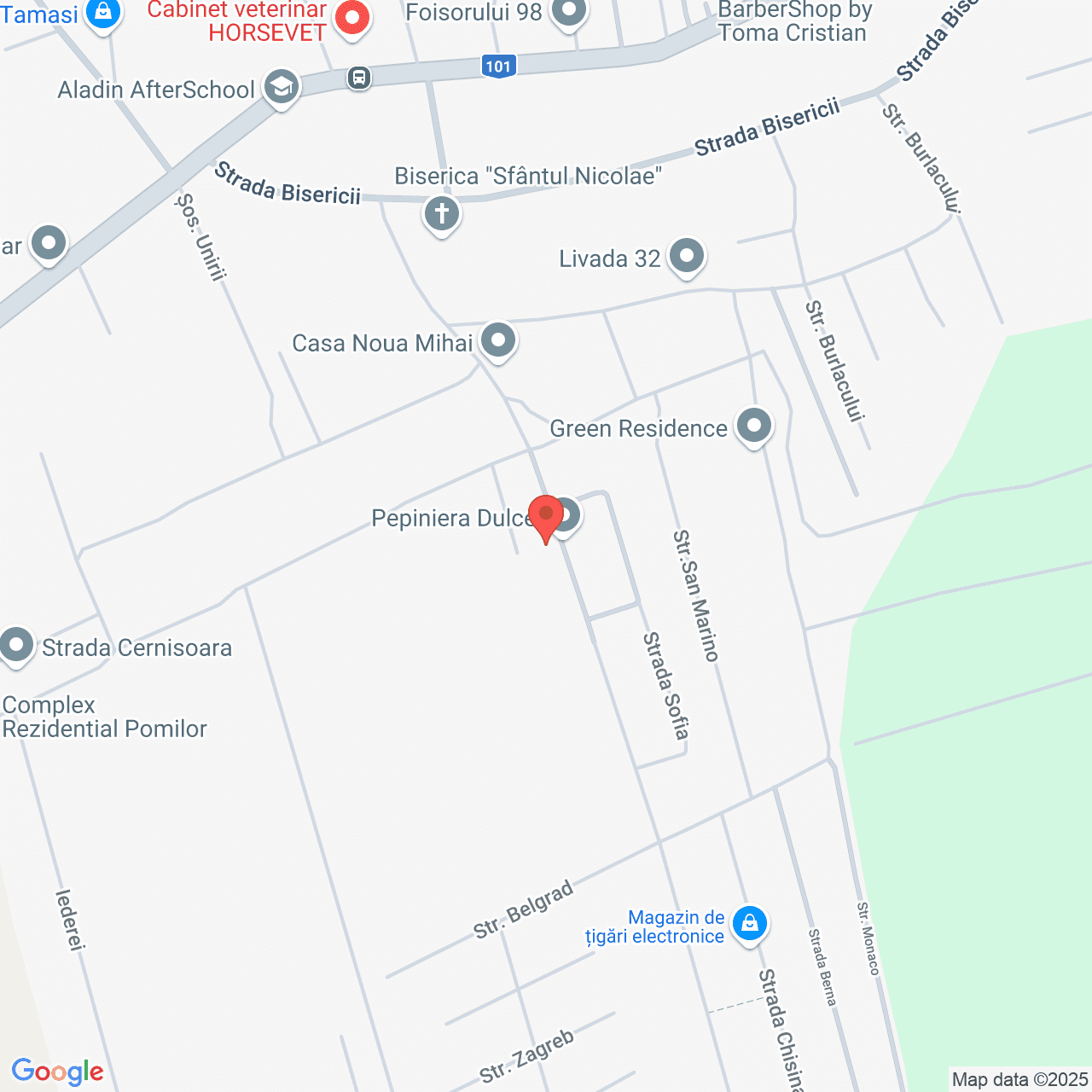 Poza harta streetview, zoom 16, adresa Tamasi Ilfov, , judetul