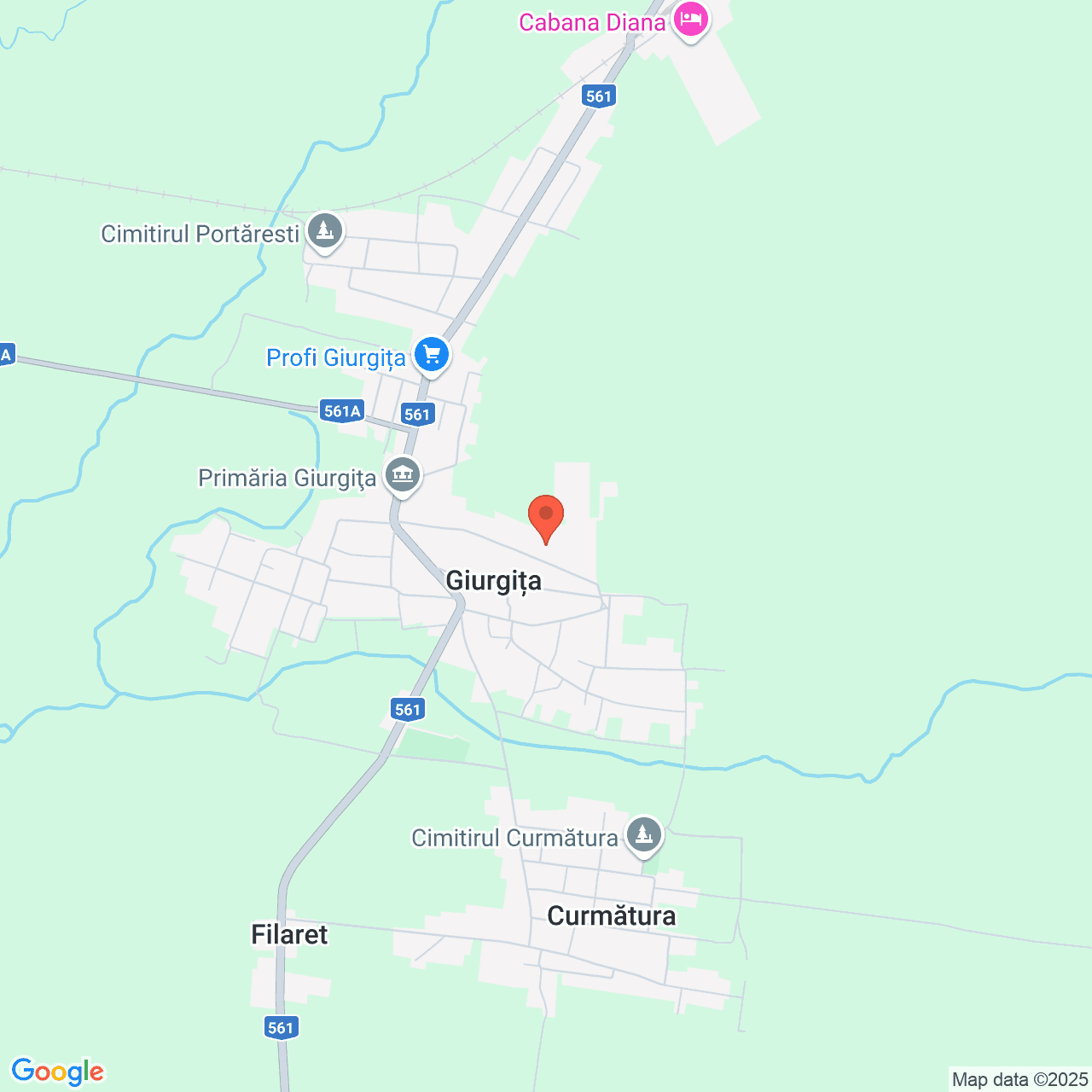 Poza harta streetview, zoom 14, adresa Giurgita Dolj, , judetul