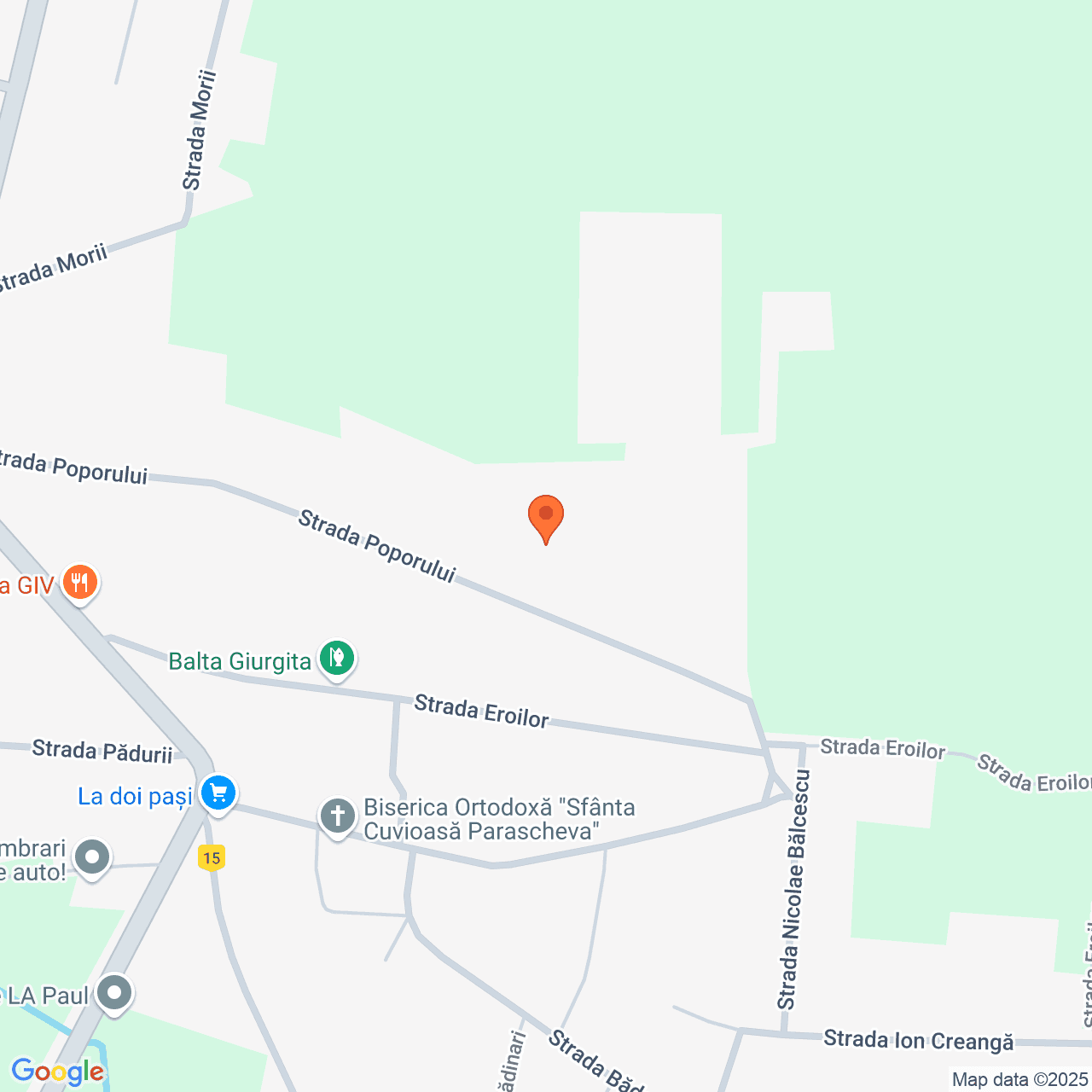 Poza harta streetview, zoom 16, adresa Giurgita Dolj, , judetul