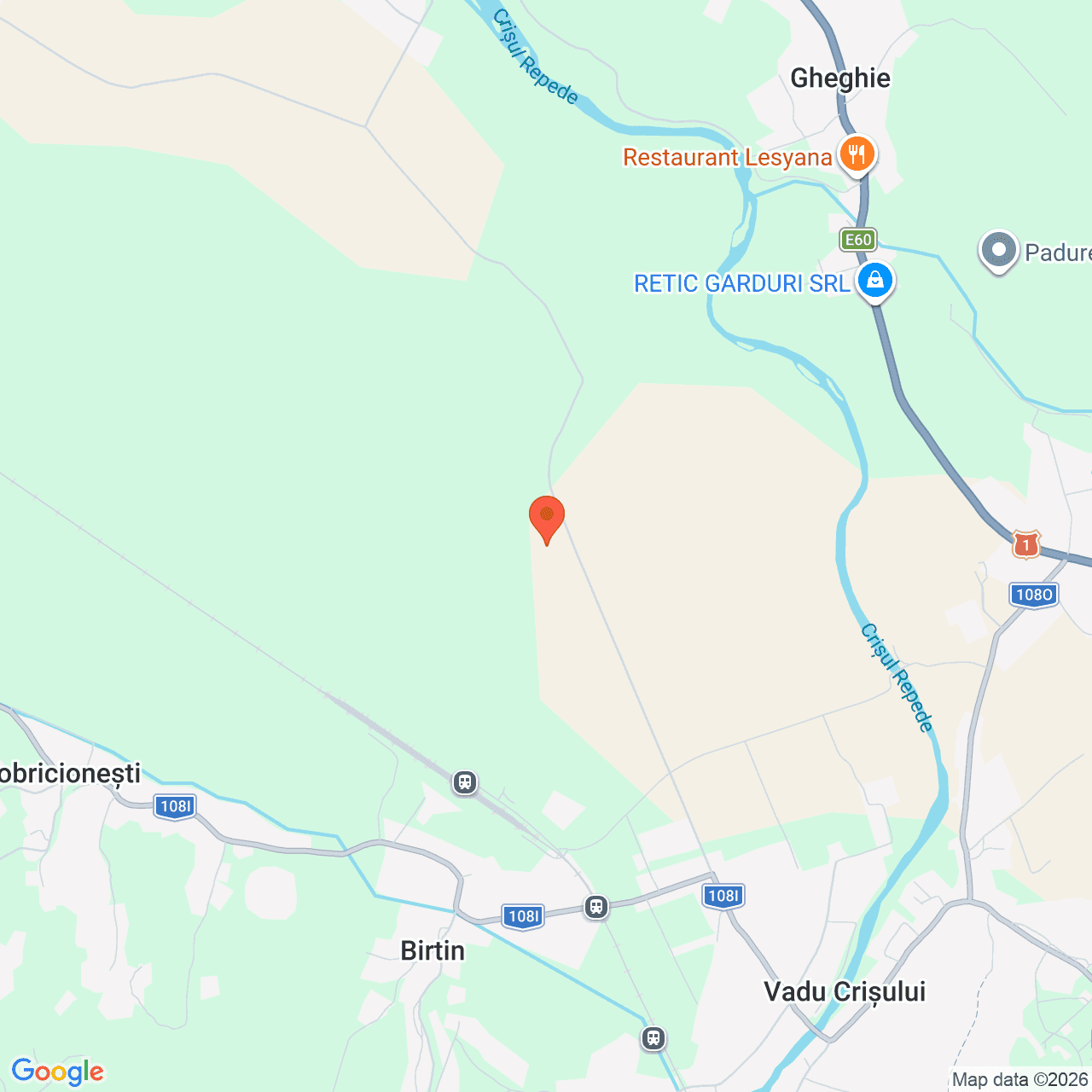 Poza harta streetview, zoom 14, adresa Vadu Crișului, jud. Bihor, , judetul