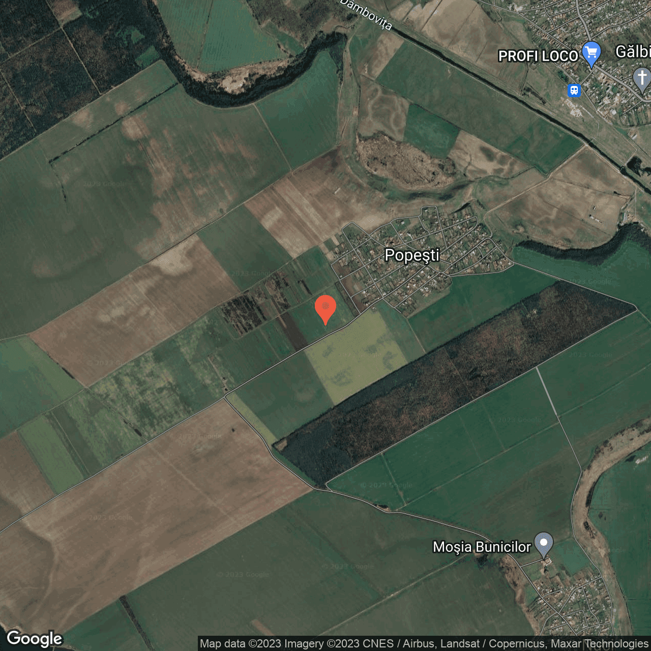 Poza harta hybrid, zoom 14, adresa Popesti Jud Calarasi , , judetul
