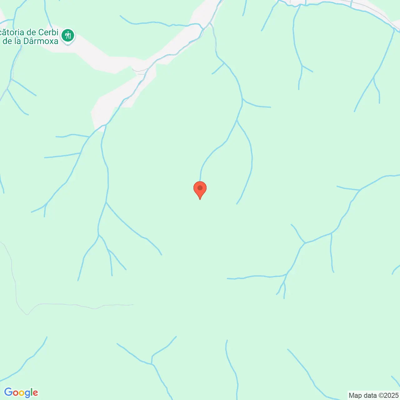 Poza harta streetview, zoom 14, adresa Panaci Suceava, , judetul