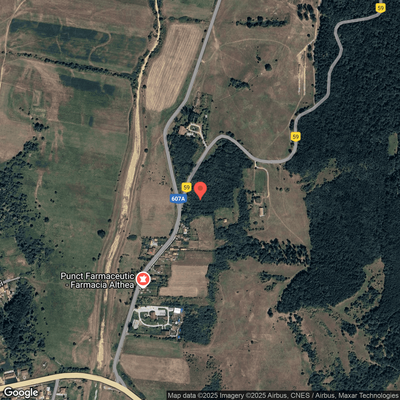 Poza harta hybrid, zoom 16, adresa Prunisor Mehedinti, , judetul