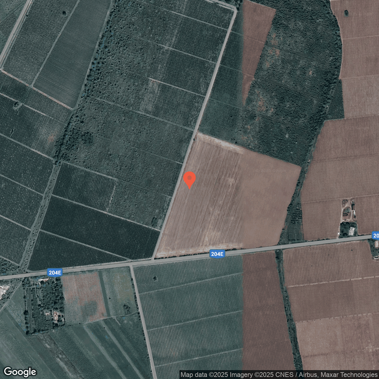 Poza harta hybrid, zoom 16, adresa Panciu Vrancea, , judetul