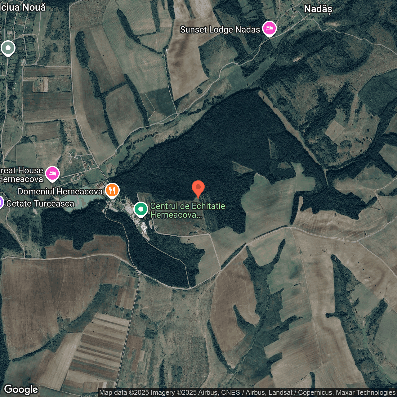 Poza harta hybrid, zoom 14, adresa Recas Timis, , judetul