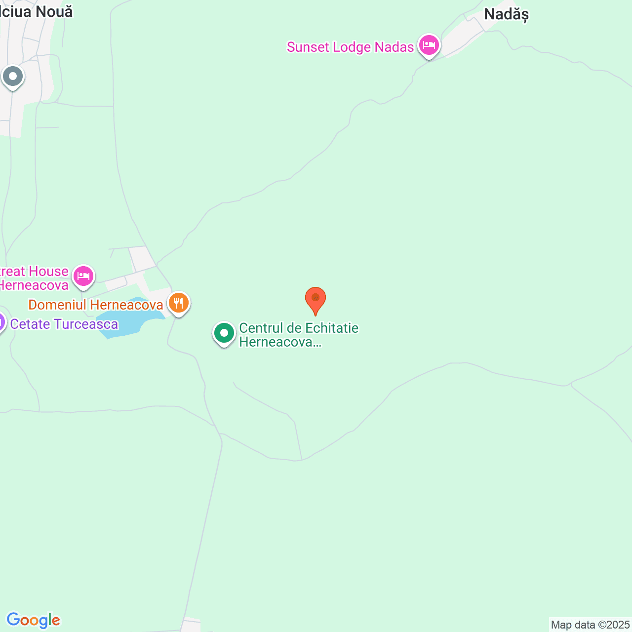 Poza harta streetview, zoom 14, adresa Recas Timis, , judetul