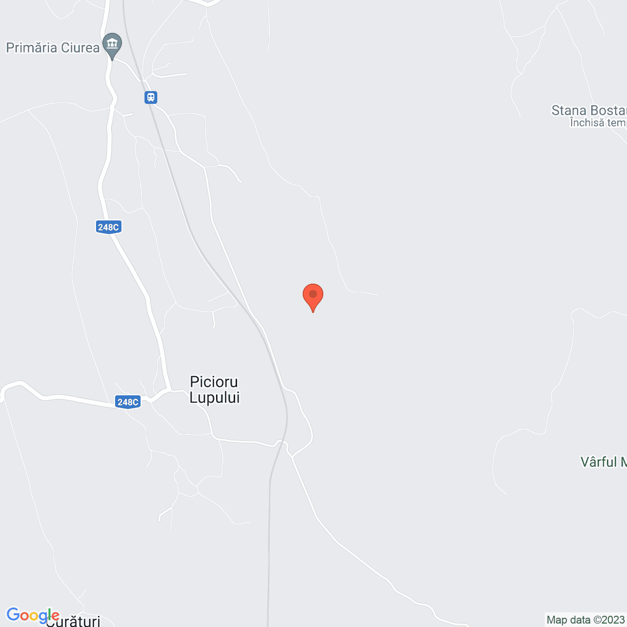 Poza harta streetview, zoom 14, adresa Ciurea, , judetul