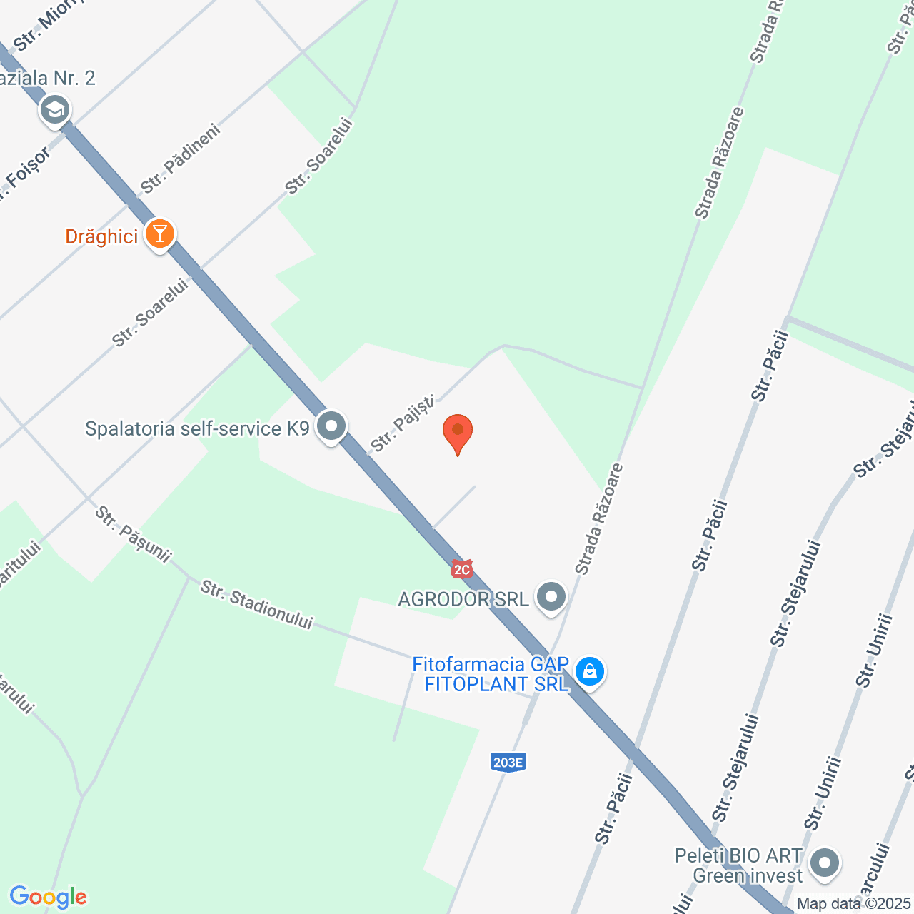 Poza harta streetview, zoom 16, adresa Padina Buzau, , judetul