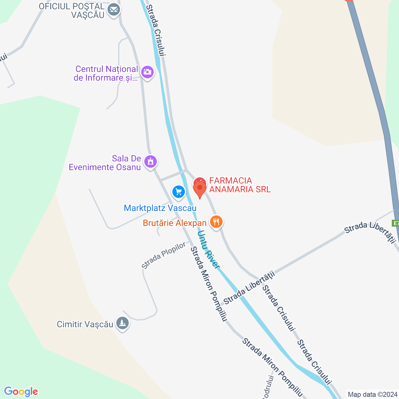 Poza harta streetview, zoom 16, adresa Vascau Bihor, , judetul