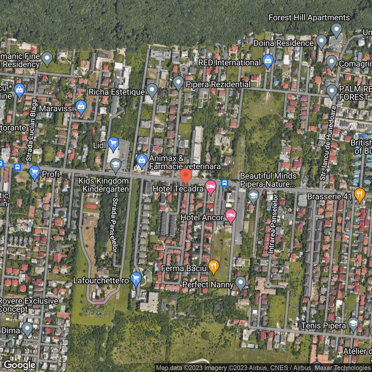 Poza harta hybrid, zoom 16, adresa Iancu Nicolae 29 Pipera Voluntari, , judetul